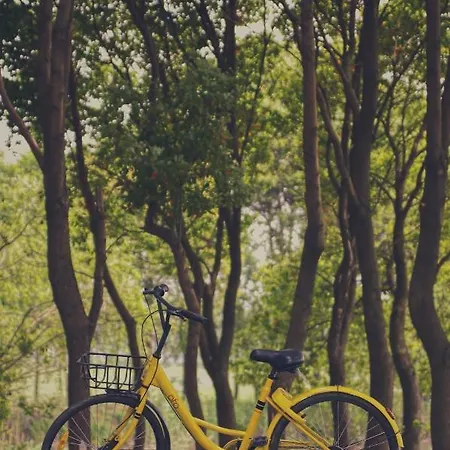 Flat With Balcony Apartment *