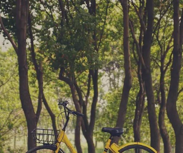 Flat With Balcony Apartment *